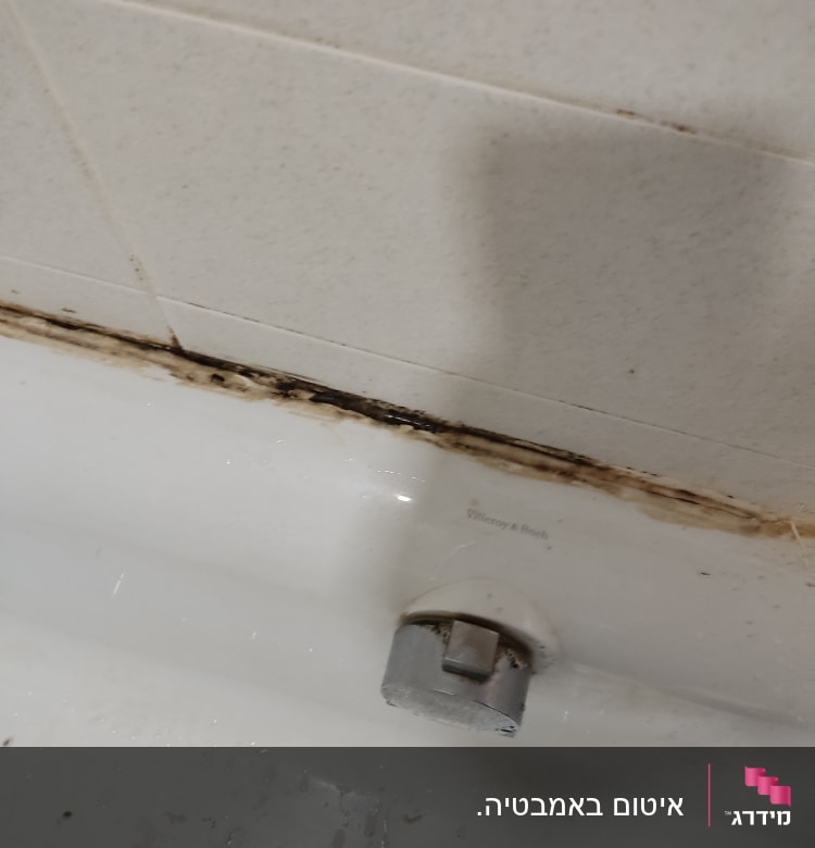 ברז אמבטיה עם כתמי עובש על הקיר